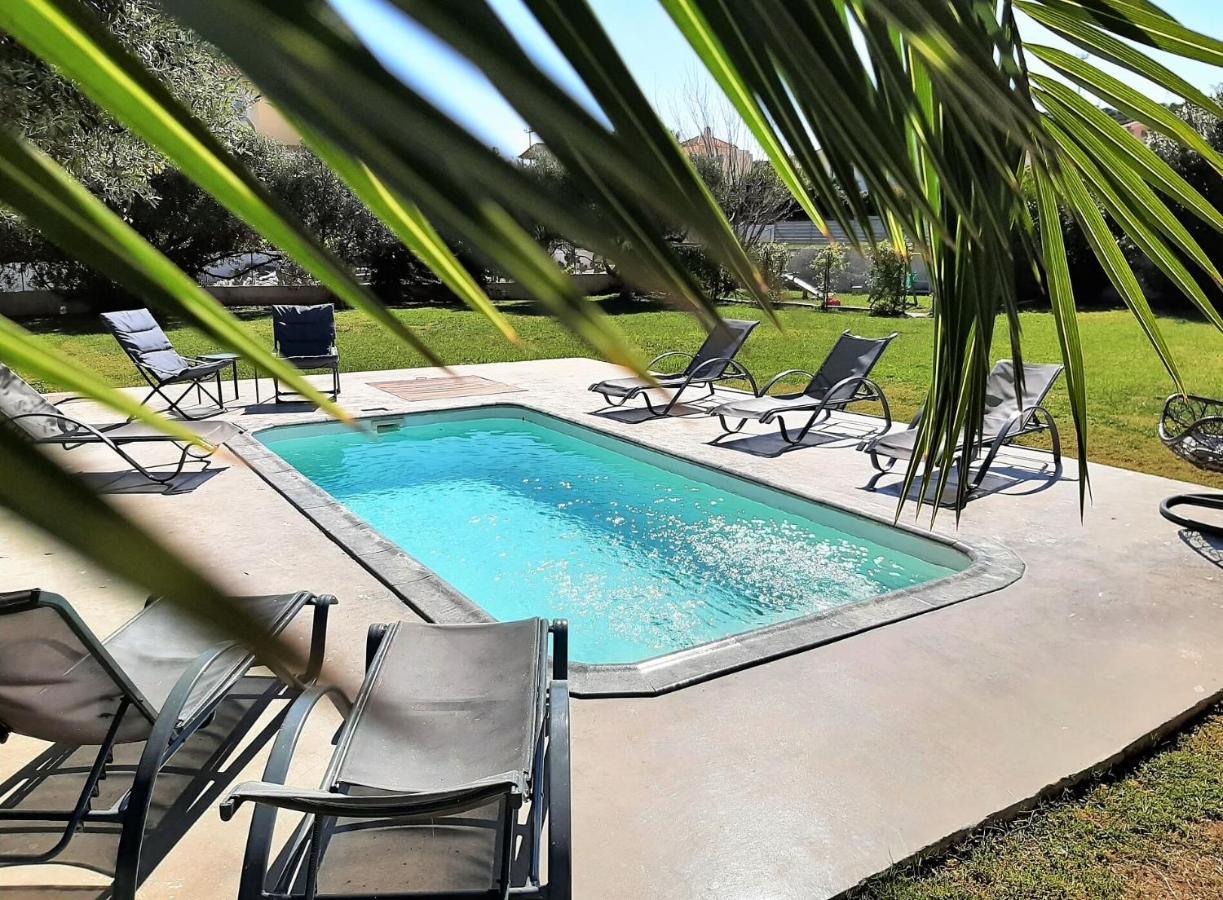Complex Lagonissi With Swimming Pool. Apartment Lagonisi